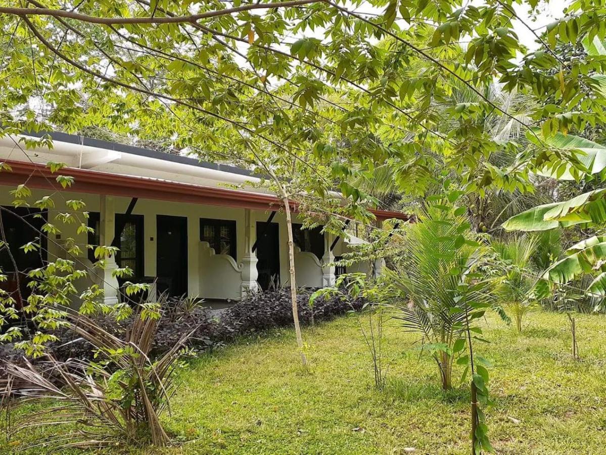 Amron Resort Sigirîya Extérieur photo